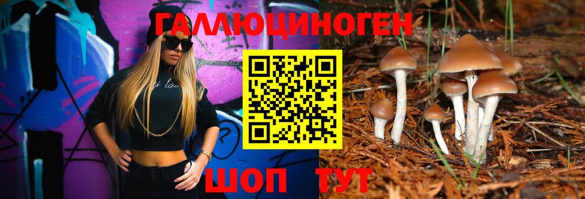 Псилоцибиновые грибы Psilocybe Северск