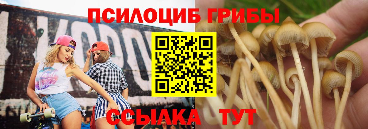 Галлюциногенные грибы мухоморы  Вход с VPN  Псилоцибиновые грибы прущие грибы  Северск 
